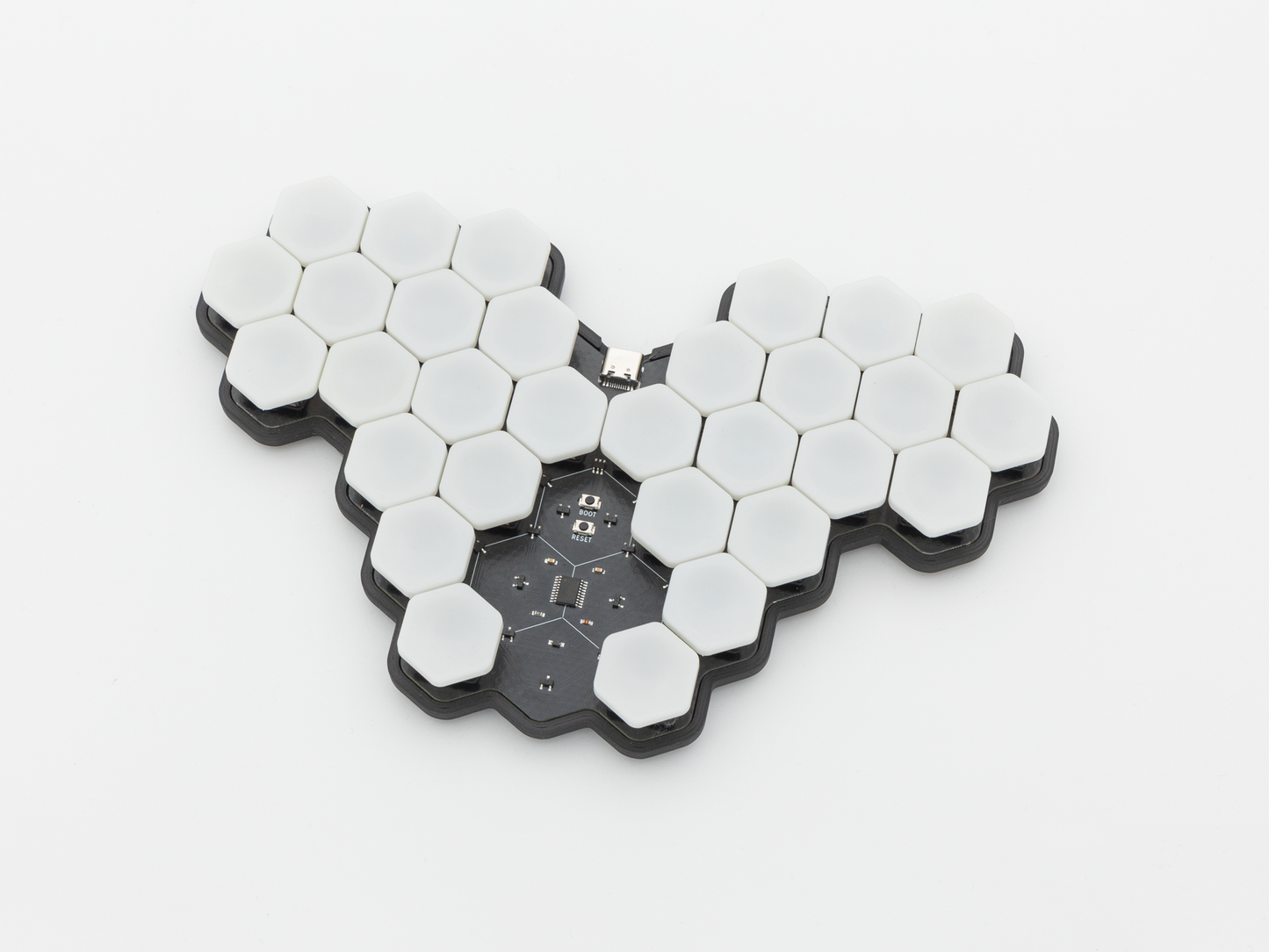 Hexapoda